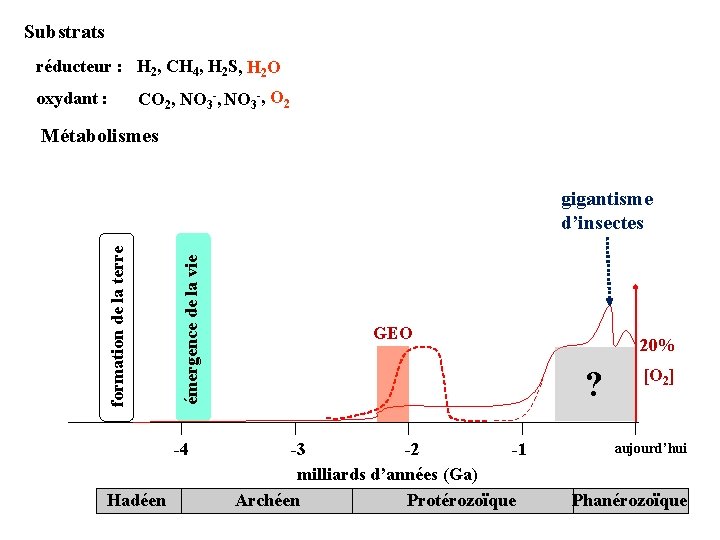 Substrats réducteur : H 2, CH 4, H 2 S, H 2 O oxydant