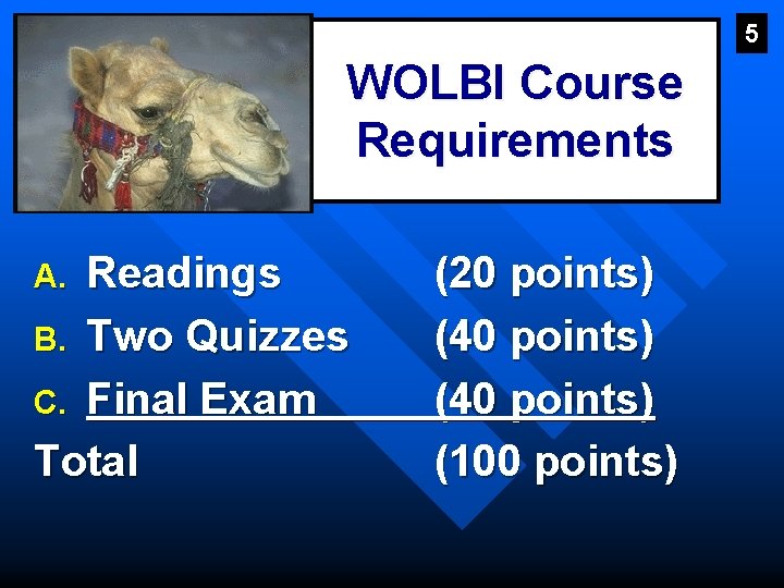 5 WOLBI Course Requirements Readings B. Two Quizzes C. Final Exam Total A. (20