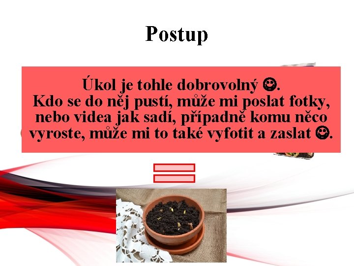 Postup To jak Úkol hluboko jednotlivá semínka musíte je tohle dobrovolný . zasadit, najdete