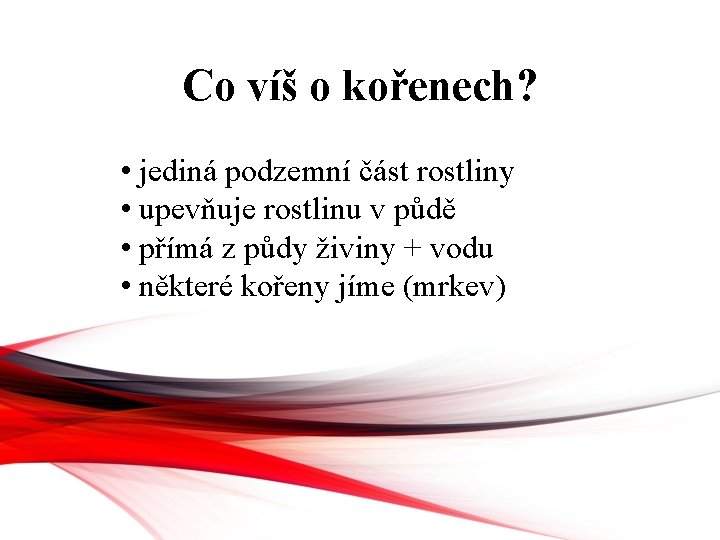 Co víš o kořenech? • jediná podzemní část rostliny • upevňuje rostlinu v půdě