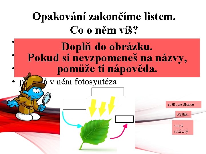 Opakování zakončíme listem. Co o něm víš? • nadzemní část rostliny Doplň do obrázku.