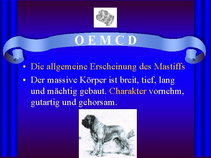 OEMCD • Die allgemeine Erscheinung des Mastiffs • Der massive Körper ist breit, tief,