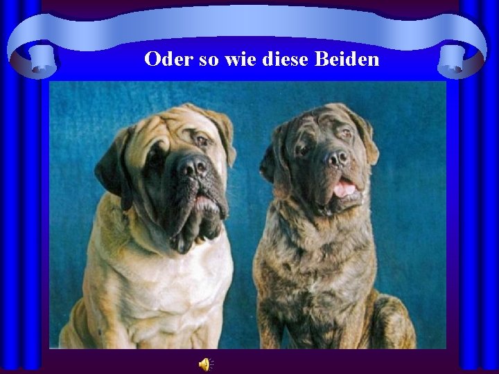 Oder so wie diese Beiden 