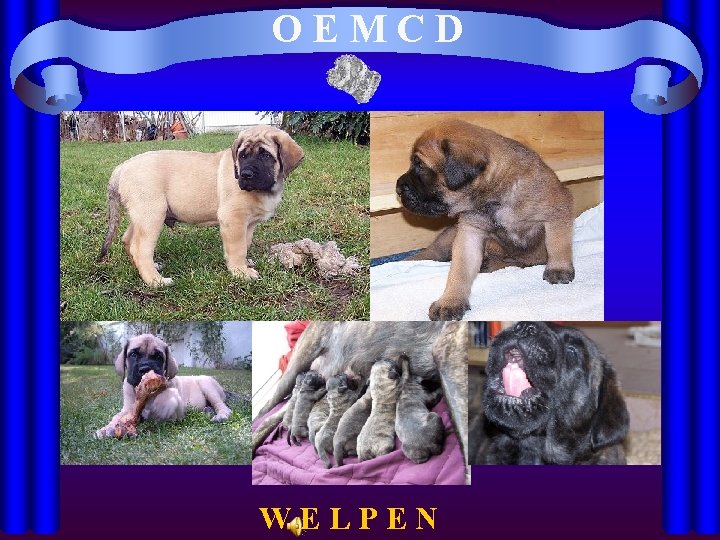 OEMCD WELPEN 