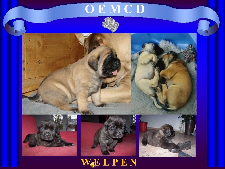 OEMCD WELPEN 