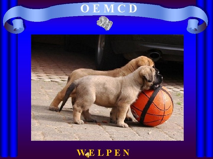 OEMCD WELPEN 