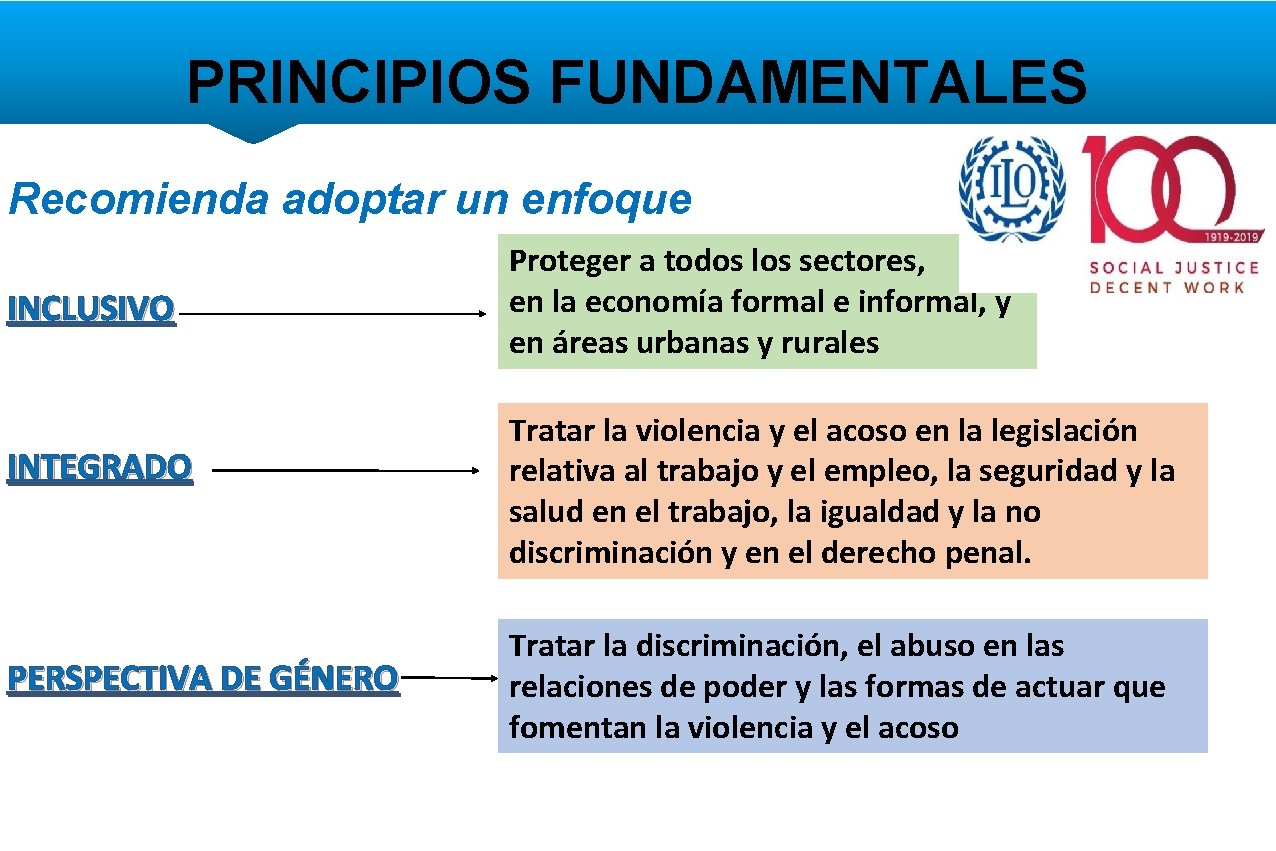 PRINCIPIOS FUNDAMENTALES Recomienda adoptar un enfoque INCLUSIVO INTEGRADO PERSPECTIVA DE GÉNERO Proteger a todos