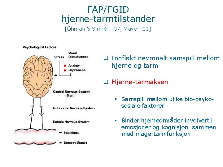 FAP/FGID hjerne-tarmtilstander [Öhman & Simrén -07, Mayer -11] q Innfløkt nevronalt samspill mellom hjerne