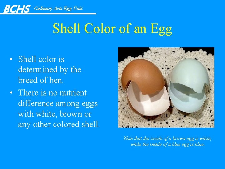 BCHS Culinary Arts Egg Unit Shell Color of an Egg • Shell color is