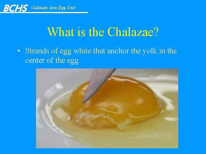 BCHS Culinary Arts Egg Unit What is the Chalazae? • Strands of egg white