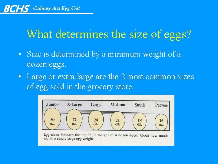 BCHS Culinary Arts Egg Unit What determines the size of eggs? • Size is