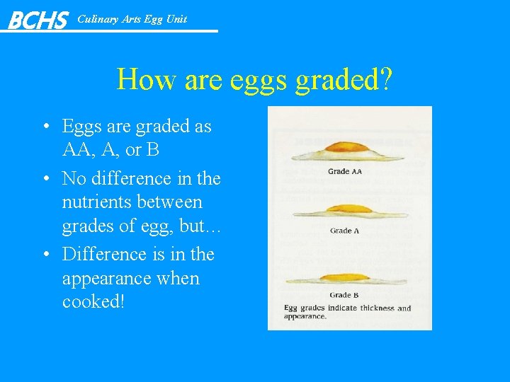 BCHS Culinary Arts Egg Unit How are eggs graded? • Eggs are graded as