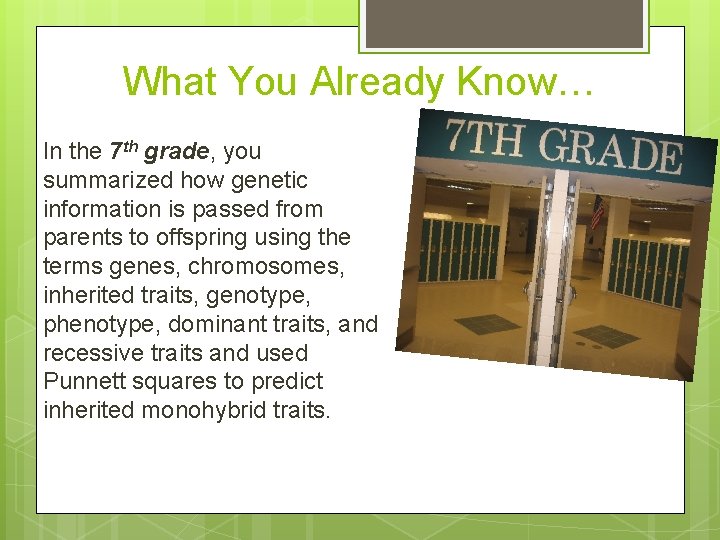 What You Already Know… In the 7 th grade, you summarized how genetic information