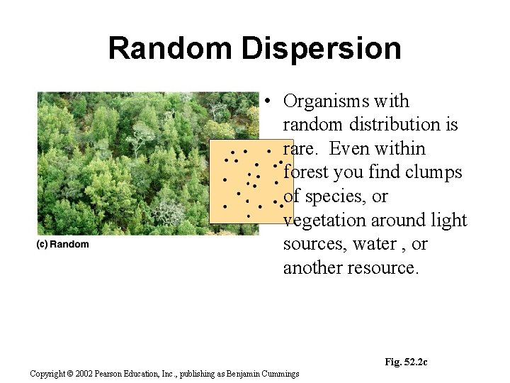 Random Dispersion • Organisms with random distribution is rare. Even within forest you find
