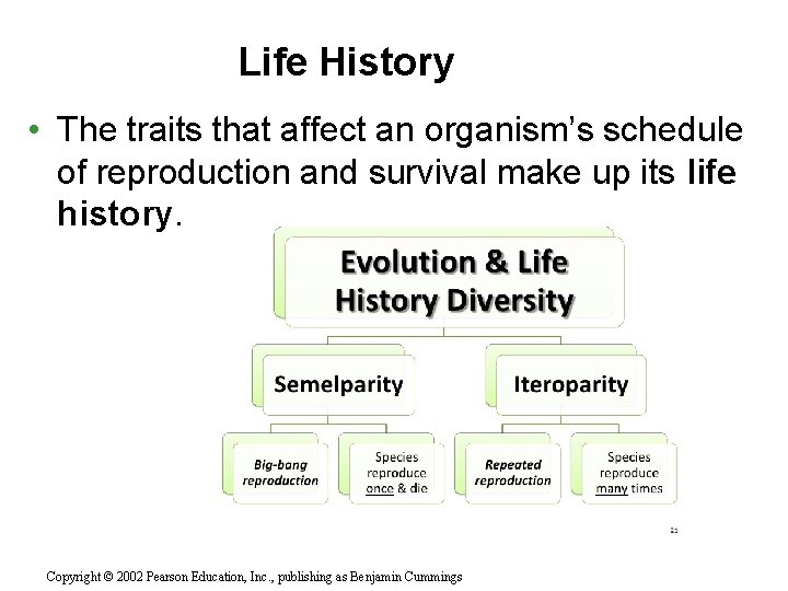 Life History • The traits that affect an organism’s schedule of reproduction and survival