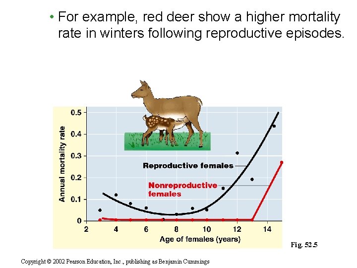  • For example, red deer show a higher mortality rate in winters following