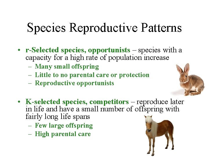 Species Reproductive Patterns • r-Selected species, opportunists – species with a capacity for a
