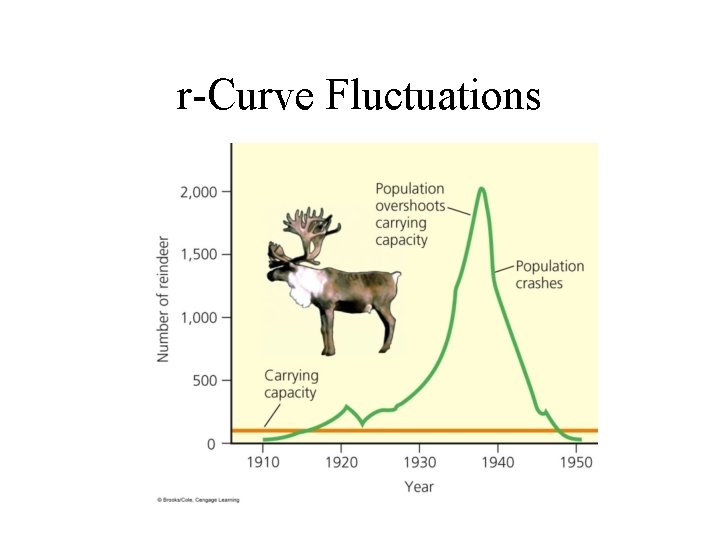 r-Curve Fluctuations 