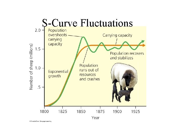 S-Curve Fluctuations 