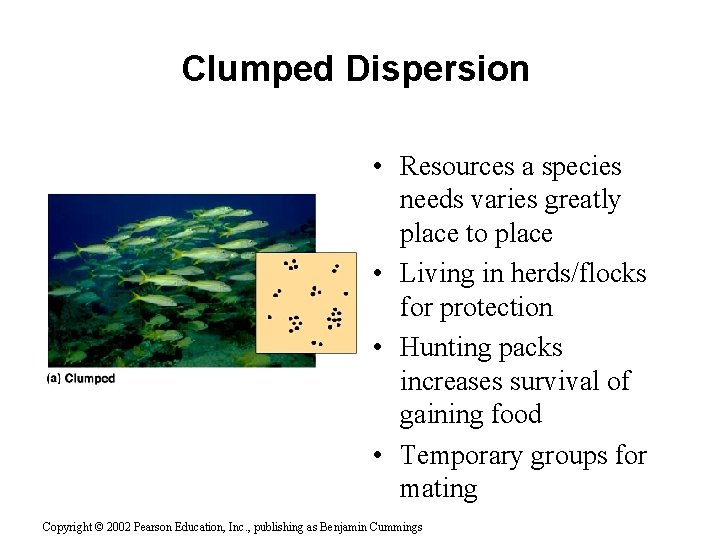 Clumped Dispersion • Resources a species needs varies greatly place to place • Living
