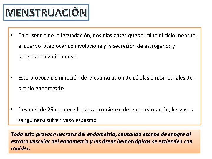 MENSTRUACIÓN • En ausencia de la fecundación, dos días antes que termine el ciclo