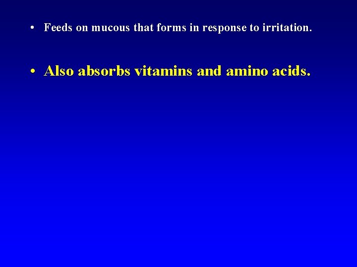  • Feeds on mucous that forms in response to irritation. • Also absorbs