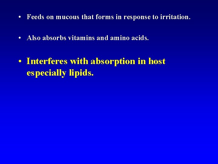  • Feeds on mucous that forms in response to irritation. • Also absorbs