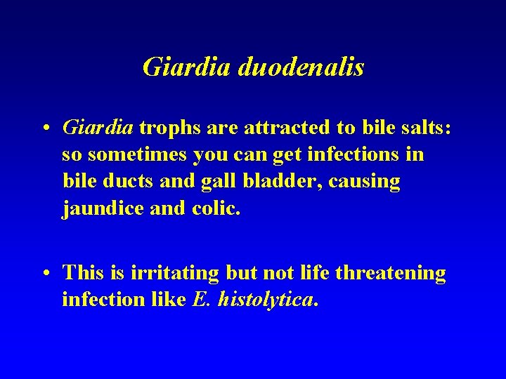 Giardia duodenalis • Giardia trophs are attracted to bile salts: so sometimes you can