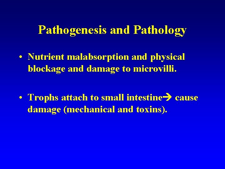 Pathogenesis and Pathology • Nutrient malabsorption and physical blockage and damage to microvilli. •