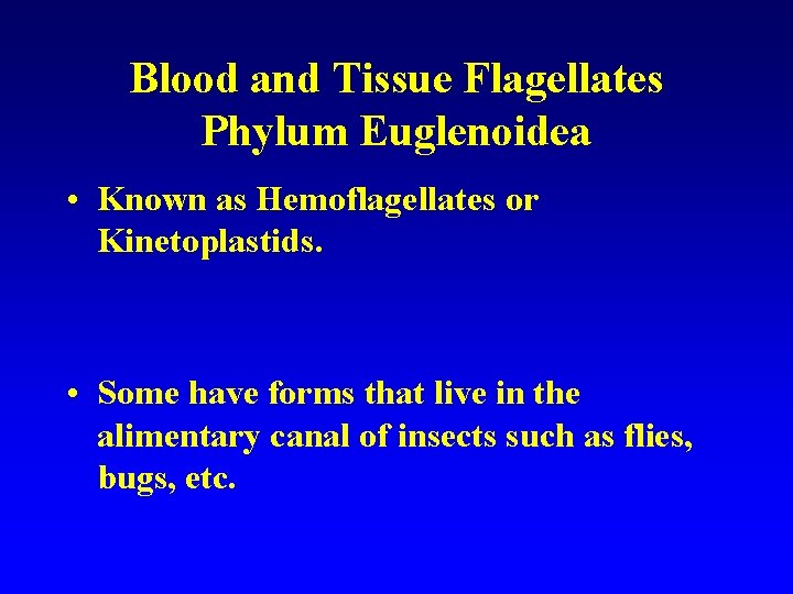 Blood and Tissue Flagellates Phylum Euglenoidea • Known as Hemoflagellates or Kinetoplastids. • Some
