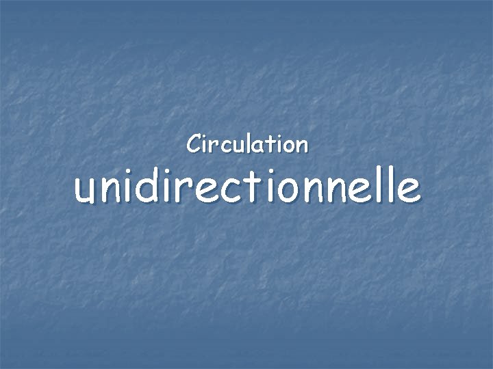 Circulation unidirectionnelle 