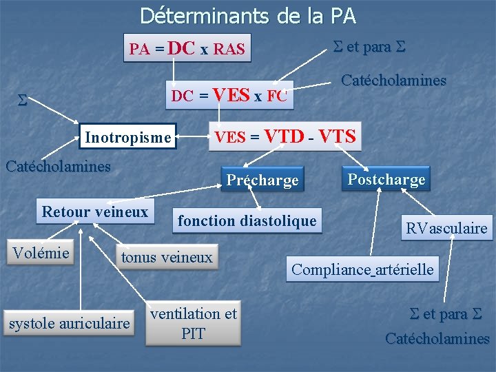 Déterminants de la PA et para PA = DC x RAS Catécholamines DC =