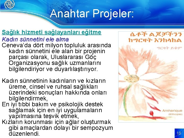 Anahtar Projeler: Sağlık hizmeti sağlayanları eğitme Kadın sünnetini ele alma Ceneva’da dört milyon topluluk