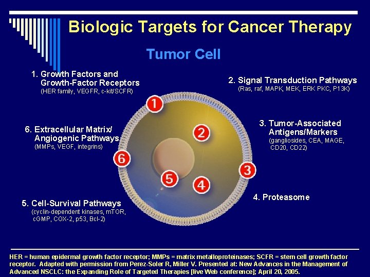 Biologic Targets for Cancer Therapy Tumor Cell 1. Growth Factors and Growth-Factor Receptors (HER