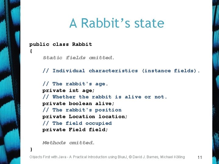 A Rabbit’s state public class Rabbit { Static fields omitted. // Individual characteristics (instance