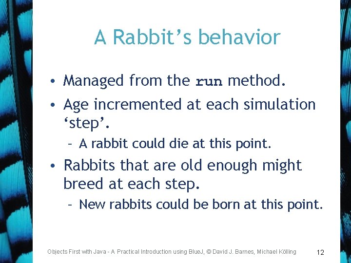 A Rabbit’s behavior • Managed from the run method. • Age incremented at each