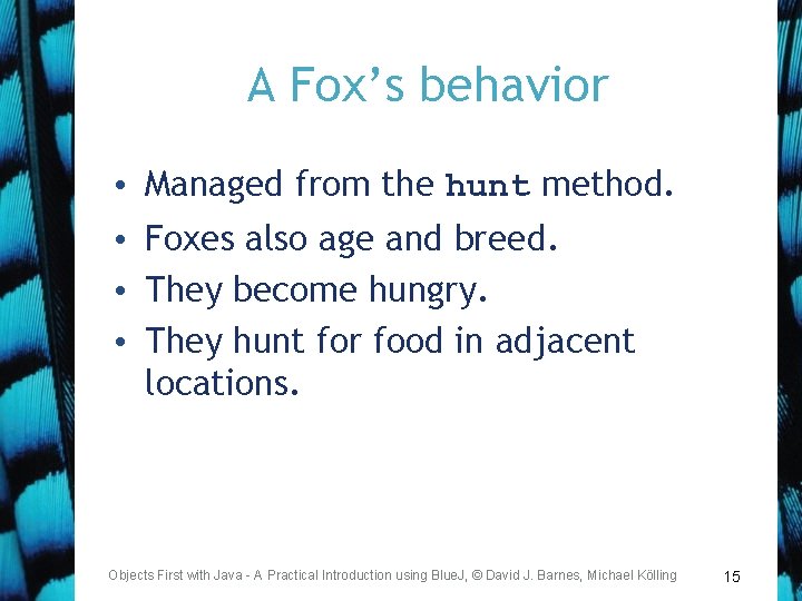 A Fox’s behavior • Managed from the hunt method. • Foxes also age and