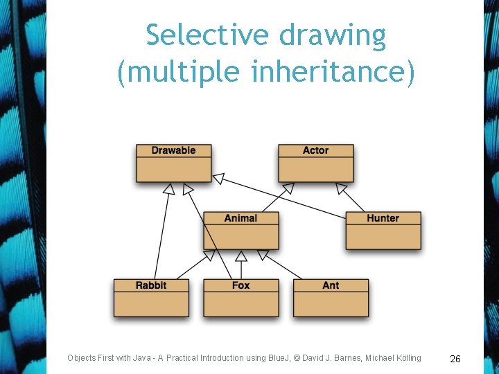 Selective drawing (multiple inheritance) Objects First with Java - A Practical Introduction using Blue.