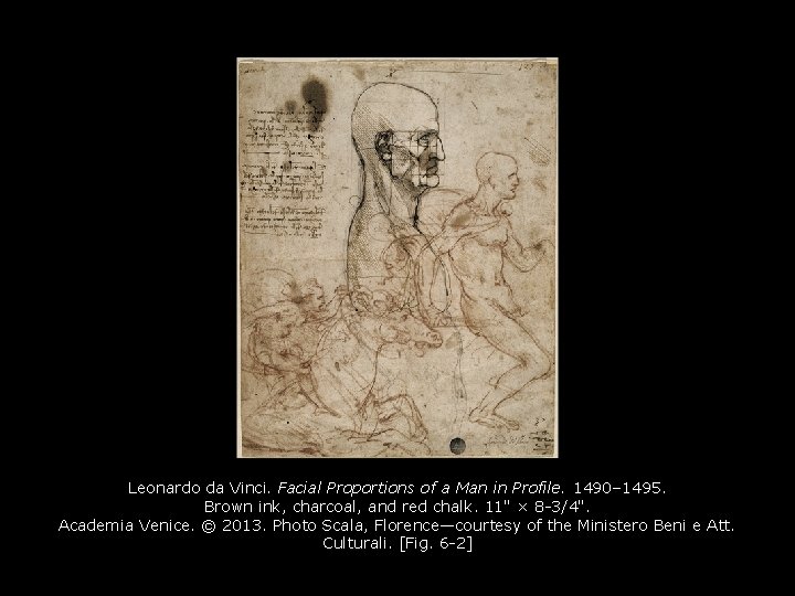 Leonardo da Vinci. Facial Proportions of a Man in Profile. 1490– 1495. Brown ink,