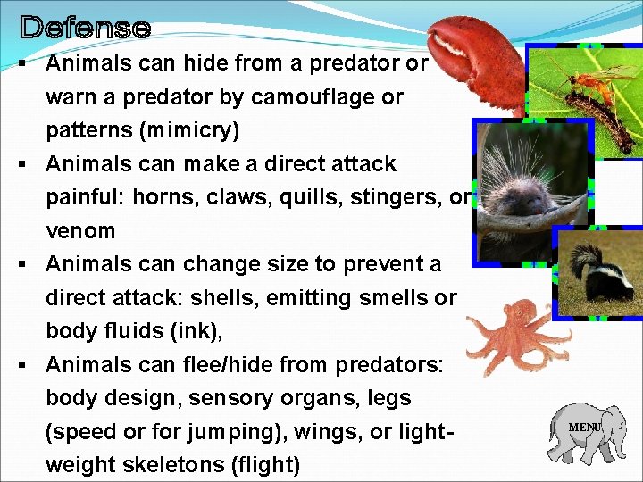 § Animals can hide from a predator or warn a predator by camouflage or