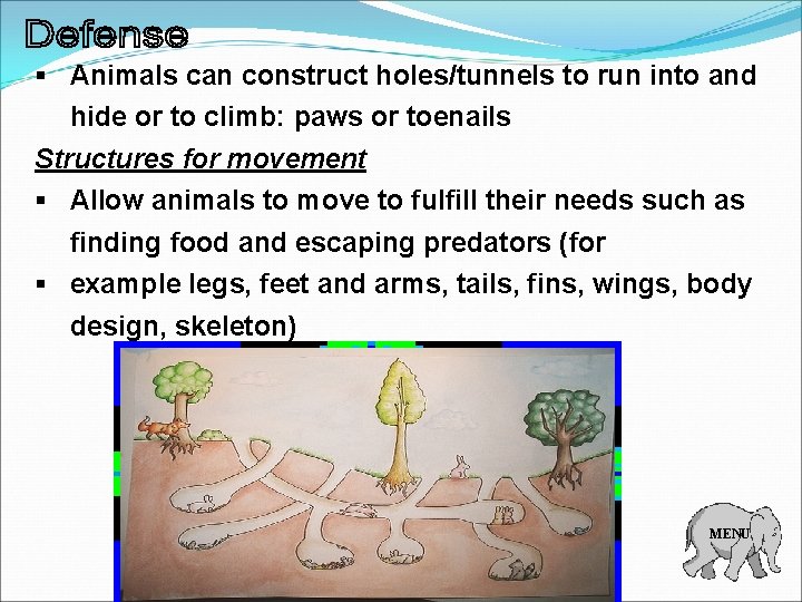 § Animals can construct holes/tunnels to run into and hide or to climb: paws