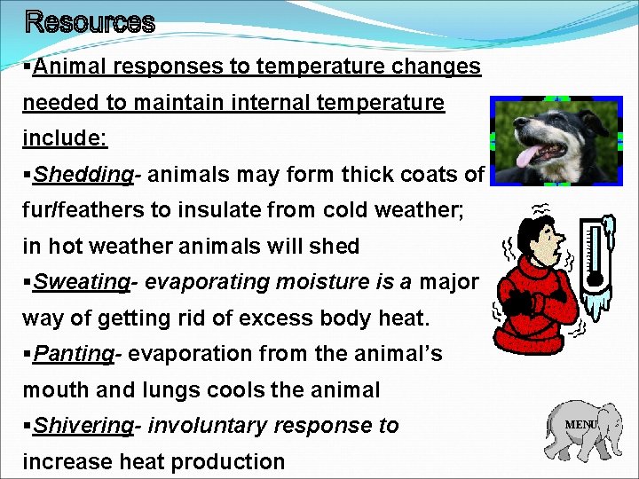 §Animal responses to temperature changes needed to maintain internal temperature include: §Shedding- animals may