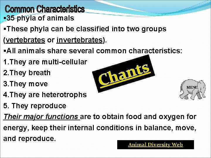 § 35 phyla of animals §These phyla can be classified into two groups (vertebrates