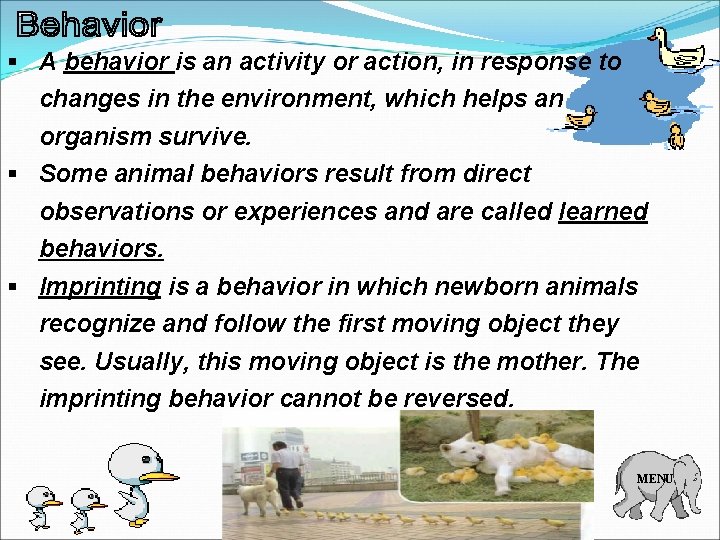 § A behavior is an activity or action, in response to changes in the