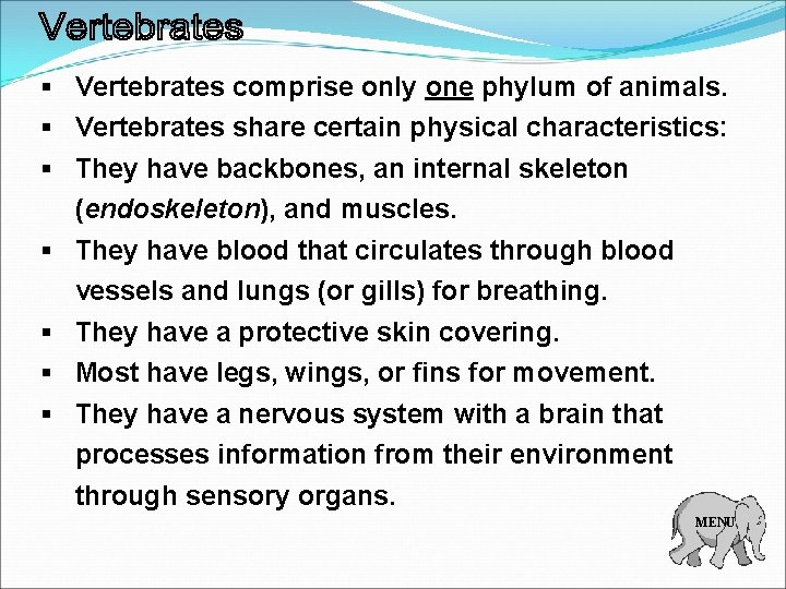 § Vertebrates comprise only one phylum of animals. § Vertebrates share certain physical characteristics: