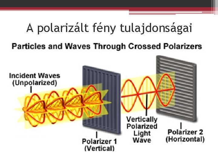 A polarizált fény tulajdonságai 