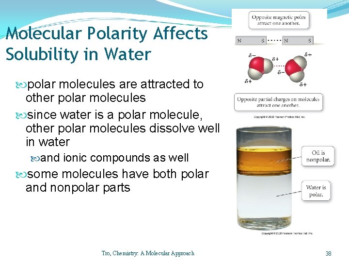 Molecular Polarity Affects Solubility in Water polar molecules are attracted to other polar molecules