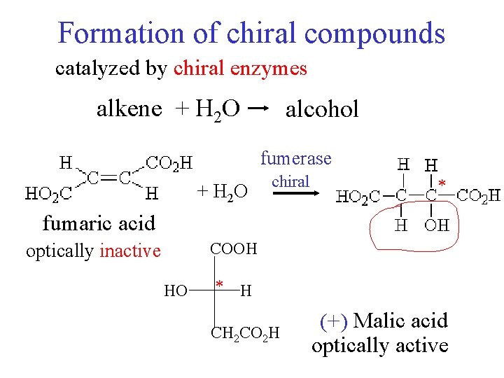 Formation of chiral compounds catalyzed by chiral enzymes alkene + H 2 O alcohol