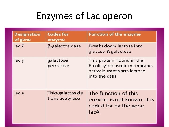 Enzymes of Lac operon 