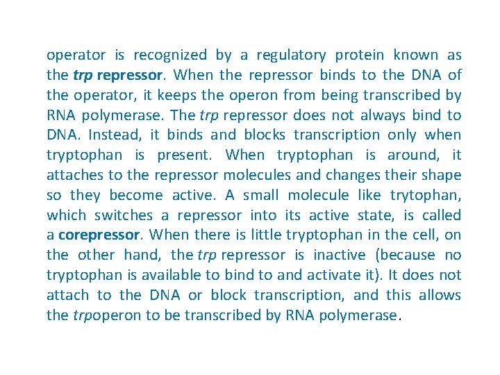 operator is recognized by a regulatory protein known as the trp repressor. When the